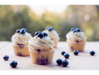 Blueberry-Lemon Cupcakes