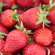 Fresh Strawberries and Cream Cake